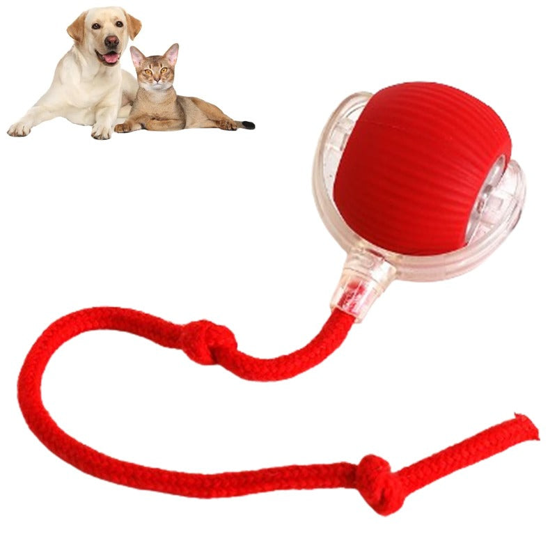 Interactive Pet Ball Toy