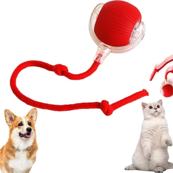 Tail Ball Runner Toy ™ - Interactive Pet Ball Toy