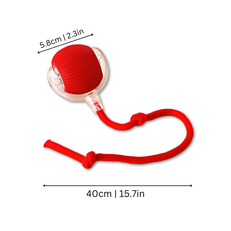 Tail Ball Runner Toy ™ - Interactive Pet Ball Toy