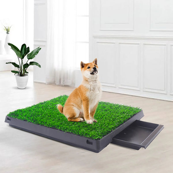 Pet Potty Training Grass Patch
